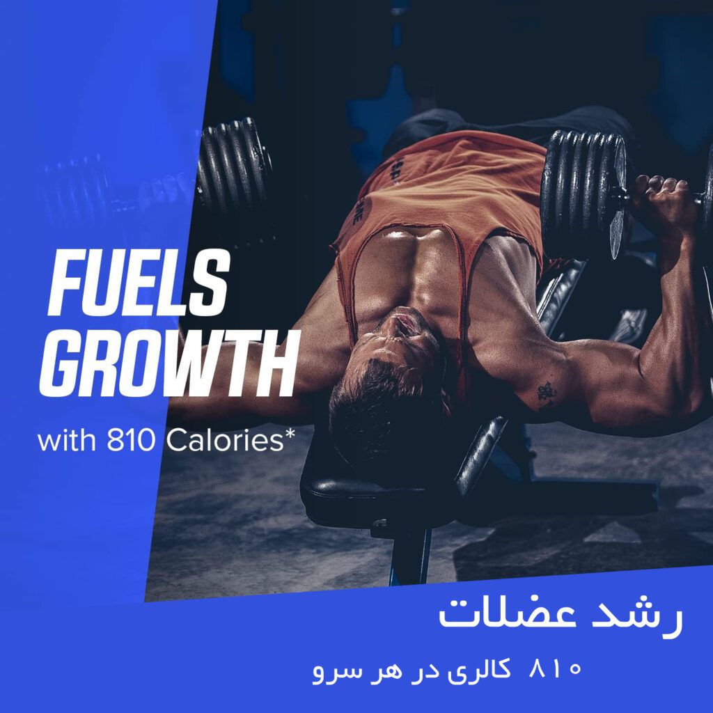 مس گینر بادی بیلدینگ